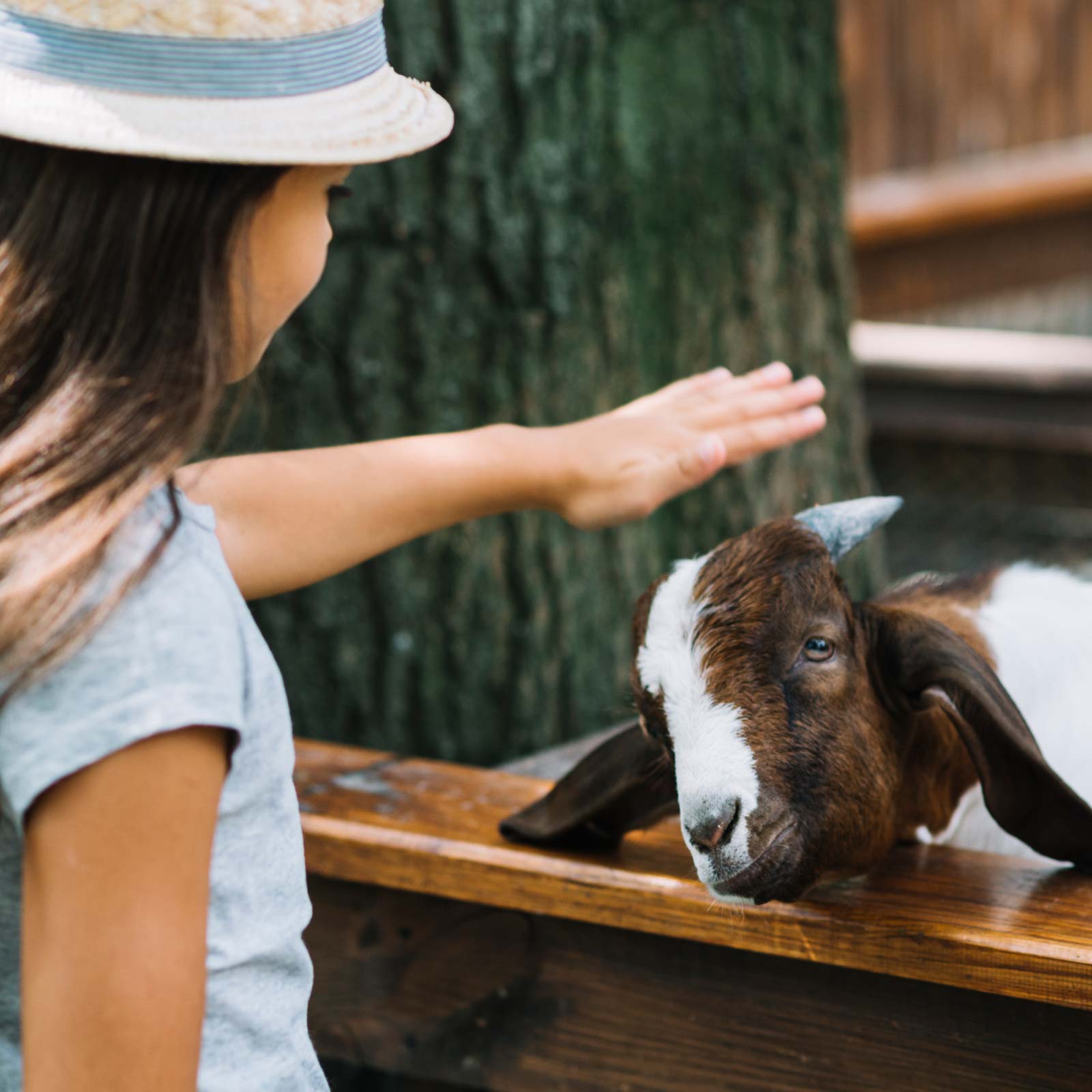 Jetzt für alle geöffnet